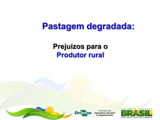 Pastagem degradada:

  Prejuízos para o
   Produtor rural
 