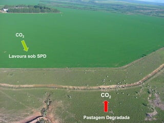 CO2



Lavoura sob SPD




                        CO2



                  Pastagem Degradada
 