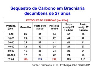 Seqüestro de Carbono em Brachiaria
         decumbens de 27 anos
               ESTOQUES DE CARBONO (ton C/ha)
                                                  Pasto        Pasto
Profund.               Pasto sem    Pasto só
           Cerradão                             corrig. 2T   corrig. 3T
 (cms)                   adubo       adubo
                                                 + adubo      + adubo
  0-10       25            31          64          57           56
 10-20       25            24          27          44           42
 20-40       25            42          41          41           41
 40-60       12            32          34          24           27
 60-80       15            25          24          28           21
80-100       17            20          22          24           28
 Total       129           174        212          223          215

                      Fonte : Primavesi et al., Embrapa, São Carlos-SP
 