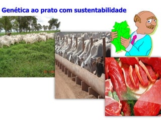 Genética ao prato com sustentabilidade
 