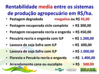 Rentabilidade media entre os sistemas
 de produção agropecuário em R$/ha.
• Pastagem degradada          =negativa ou R$ 45,00
• Pastagem recuperada ciclo completo     = R$ 300,00
• Pastagem recuperada recria e engorda = R$ 450,00
• Pecuária recria e engorda com ILP      = R$ 1.200,00
• Lavoura de soja Safra sem ILP          = R$ 600,00
• Lavoura de soja Safra com ILP          = R$ 1.000,00
• Floresta x Pecuária recria e engorda   = R$ 1.400,00
• Arrendamento cana ou eucalipto         = R$ 500,00
 