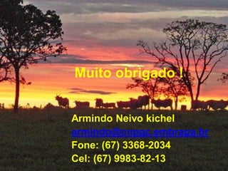Muito obrigado !


Armindo Neivo kichel
armindo@cnpgc.embrapa.br
Fone: (67) 3368-2034
Cel: (67) 9983-82-13
 
