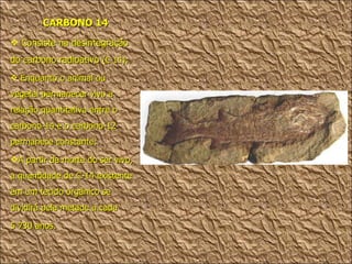 CARBONO 14 Consiste na desintegração do carbono radioativo  (C 14); Enquanto o animal ou vegetal permanecer vivo a relação quantitativa entre o carbono-14 e o carbono-12 permanece constante; A partir da morte do ser vivo, a quantidade de C-14 existente em um tecido orgânico se dividirá pela metade a cada  5 730 anos.  
