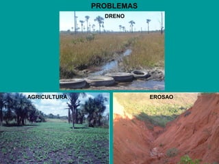 PROBLEMAS
DRENO
AGRICULTURA EROSAO
 