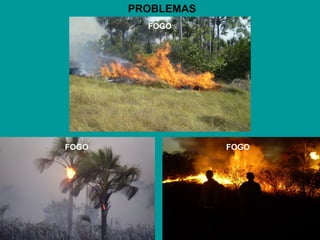 PROBLEMAS
FOGO
FOGOFOGO
 