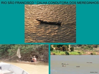 RIO SÃO FRANCISCO “ CALHA CONDUTORA DOS MEREGINHOS”
 