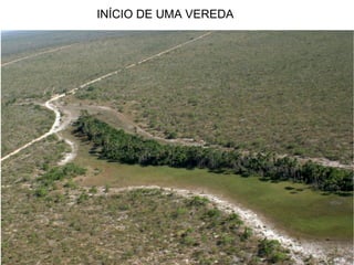 INÍCIO DE UMA VEREDA
 