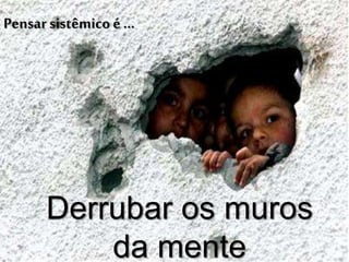 Pensar sistêmico é...
Derrubar os muros
da mente
 