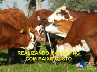 REALIZANDO MARKETING
COM BAIXO CUSTO
 