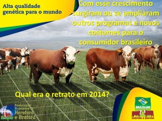 Com esse crescimento
surgiram ou se ampliaram
outros programas e novos
costumes para o
consumidor brasileiro
Qual era o retrato em 2014?
 