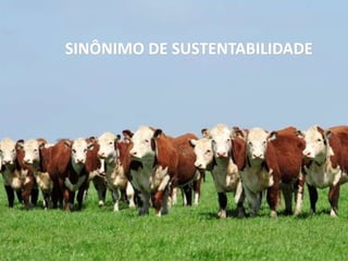 SINÔNIMO DE SUSTENTABILIDADE
 