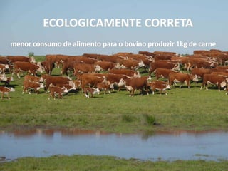 ECOLOGICAMENTE CORRETA
menor consumo de alimento para o bovino produzir 1kg de carne
 