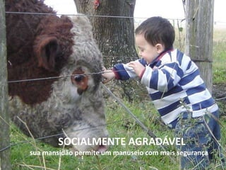 SOCIALMENTE AGRADÁVEL
sua mansidão permite um manuseio com mais segurança
 