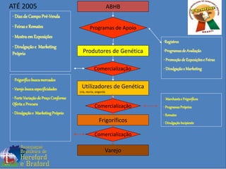 Produtores de Genética
ABHB
Utilizadores de Genética
cria, recria, engorda
Programas de Apoio
Varejo
•Registros
•Programasde Avaliação
• Promoçãode Exposiçõese Feiras
• Divulgaçãoe Marketing
• Diasde CampoPré-Venda
• Feirase Remates
• MostraemExposições
• Divulgaçãoe Marketing
Próprio
Comercialização
Comercialização
• Marchantse Frigoríficos
• ProgramasPróprios
• Remates
• DivulgaçãoIncipiente
Comercialização
• Frigoríficobuscamercados
• Varejobuscaespecificidades
• ForteVariaçãode PreçoConforme
Ofertax Procura
• Divulgaçãoe MarketingPróprio
Frigoríficos
ATÉ 2005
 