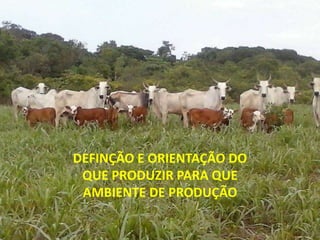 DEFINÇÃO E ORIENTAÇÃO DO
QUE PRODUZIR PARA QUE
AMBIENTE DE PRODUÇÃO
 
