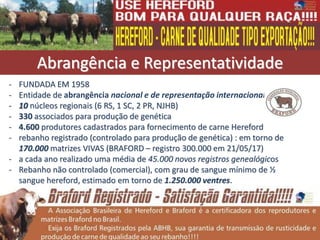 - FUNDADA EM 1958
- Entidade de abrangência nacional e de representação internacional
- 10 núcleos regionais (6 RS, 1 SC, 2 PR, NJHB)
- 330 associados para produção de genética
- 4.600 produtores cadastrados para fornecimento de carne Hereford
- rebanho registrado (controlado para produção de genética) : em torno de
170.000 matrizes VIVAS (BRAFORD – registro 300.000 em 21/05/17)
- a cada ano realizado uma média de 45.000 novos registros genealógicos
- Rebanho não controlado (comercial), com grau de sangue mínimo de ½
sangue hereford, estimado em torno de 1.250.000 ventres.
Abrangência e Representatividade
 