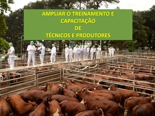 AMPLIAR O TREINAMENTO E
CAPACITAÇÃO
DE
TÉCNICOS E PRODUTORES
 