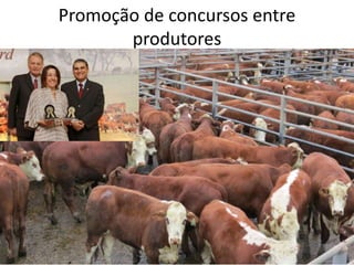 Promoção de concursos entre
produtores
 