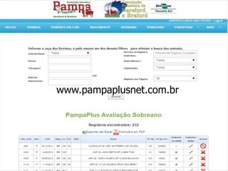 WWW.PAMPAPLUS.COM.BR
www.pampaplusnet.com.br
 