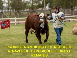 PROMOVER AMBIENTES DE NEGÓCIOS
ATRAVÉS DE EXPOSIÇÕES, FEIRAS E
REMATES
 