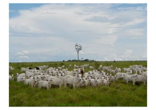 w w w . e x a g r o . c o m . b r    31 
 