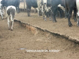 “DIFICULDADE DE ACESSO”
 
