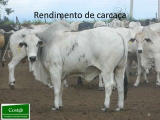 Rendimento de carcaça




                        25
 