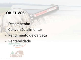 OBJETIVOS:

-   Desempenho
-   Conversão alimentar
-   Rendimento de Carcaça
-   Rentabilidade


                            3
 
