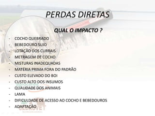 PERDAS DIRETAS
                      QUAL O IMPACTO ?
-   COCHO QUEBRADO
-   BEBEDOURO SUJO
-   LOTAÇÃO DOS CURRAIS
-   METRAGEM DE COCHO
-   MISTURAS INADEQUADAS
-   MATÉRIA PRIMA FORA DO PADRÃO
-   CUSTO ELEVADO DO BOI
-   CUSTO ALTO DOS INSUMOS
-   QUALIDADE DOS ANIMAIS
-   LAMA
-   DIFICULDADE DE ACESSO AO COCHO E BEBEDOUROS
-   ADAPTAÇÃO
 
