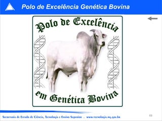Polo de Excelência Genética Bovina




                                     68
 