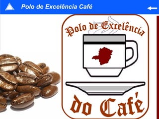 Polo de Excelência Café




                          71
 