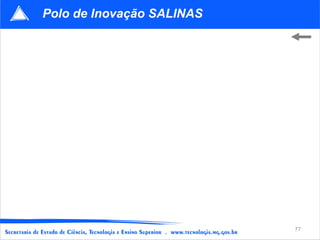 Polo de Inovação SALINAS




                           77
 