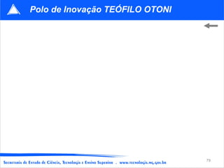 Polo de Inovação TEÓFILO OTONI




                                 79
 