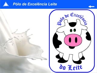Pólo de Excelência Leite 