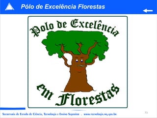 Pólo de Excelência Florestas 