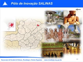 Pólo de Inovação SALINAS 