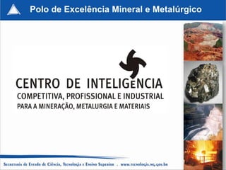 Polo de Excelência Mineral e Metalúrgico




                                           104
 
