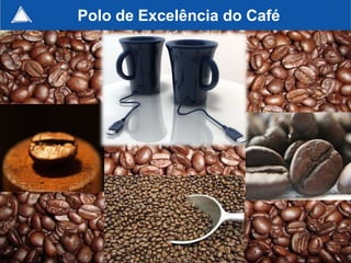 Polo de Excelência do Café




                             115
 