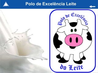 Polo de Excelência Leite




                           116
 