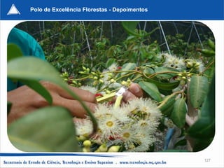 Polo de Excelência Florestas - Depoimentos




                                             127
 