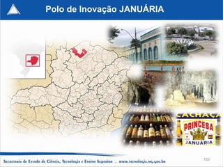Polo de Inovação JANUÁRIA




                            163
 