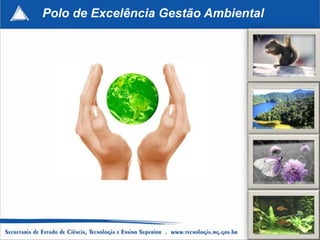 Polo de Excelência Gestão Ambiental




                                      207
 
