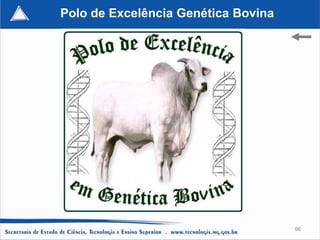 Polo de Excelência Genética Bovina




                                     96
 