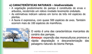 a) CARACTERÍSTICAS NATURAIS – biodiversidade
• A vegetação predominante do pampa é constituída de ervas e
arbustos, recobrindo um relevo nivelado levemente ondulado.
• As estimativas indicam valores em torno de três mil espécies de
plantas.
• A fauna é expressiva, com quase 500 espécies de aves. Também
ocorrem mais de 100 espécies de mamíferos.
CF 2017: FRATERNIDADE E BIOMAS BRASILEIROS
• O vento é uma das características marcantes do
cenário dos pampas.
• Ameaça: expansão das monoculturas promove a
rápida degradação e descaracterização das
paisagens naturais do bioma Pampa.
 
