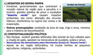 c) DESAFIOS DO BIOMA PAMPA
• Iniciativas governamentais que contrariam a
vocação natural da região para a pecuária e o
turismo: grandes plantios de pinus e eucaliptos
“deserto verde” que causam impactos
ambientais, tais como: alteração dos recursos
hídricos; interferência no regime dos ventos e de
evaporação.
CF 2017: FRATERNIDADE E BIOMAS BRASILEIROS
d) CONTEXTUALIZAÇÃO POLÍTICA
• Nos Pampas existem grandes latifúndios (Rio Grande do Sul) voltados para
a criação de gado, apostam na monocultura de eucalipto, acácia e pinus;
• Monocultivos são denominados pelos Movimentos Sociais de “Deserto Verde”;
• Apesar de ser região latifundiária, há muitas famílias de pequenos
agricultores, indígenas, quilombolas.
• Outras preocupações: ampliação da área de soja, trigo e arroz, mamona
para a indústria do biocombustível.
«Deserto Verde»
 