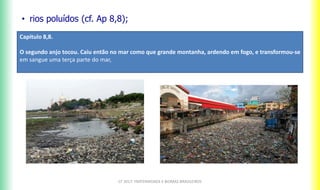 CF 2017: FRATERNIDADE E BIOMAS BRASILEIROS
• rios poluídos (cf. Ap 8,8);
Capitulo 8,8.
O segundo anjo tocou. Caiu então no mar como que grande montanha, ardendo em fogo, e transformou-se
em sangue uma terça parte do mar,
 