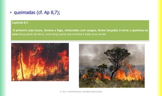 CF 2017: FRATERNIDADE E BIOMAS BRASILEIROS
• queimadas (cf. Ap 8,7);
Capitulo 8,7.
O primeiro anjo tocou. Saraiva e fogo, misturados com sangue, foram lançados à terra; e queimou-se
uma terça parte da terra, uma terça parte das árvores e toda erva verde.
 