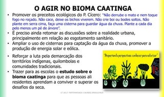 O AGIR NO BIOMA CAATINGA
• Promover os preceitos ecológicos do P. Cícero: “Não derrube o mato e nem toque
fogo no roçado. Não cace, deixe os bichos viverem. Não crie boi ou bodes soltos. Não
plante em serra cima, faça uma cisterna para guardar água da chuva. Plante a cada dia
pelo menos um pé de árvore”.
• É preciso ainda retomar as discussões sobre a realidade urbana,
principalmente em relação ao esgotamento sanitário.
• Ampliar o uso de cisternas para captação da água da chuva, promover a
produção de energia solar e eólica.
CF 2017: FRATERNIDADE E BIOMAS BRASILEIROS
• Reforçar a luta pela demarcação dos
territórios indígenas, quilombolas e
comunidades tradicionais.
• Trazer para as escolas o estudo sobre o
bioma caatinga para que as pessoas ali
residentes aprendam a conviver e superar os
desafios da seca.
 