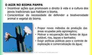 CF 2017: FRATERNIDADE E BIOMAS BRASILEIROS
O AGIR NO BIOMA PAMPA
• Incentivar ações que promovam o direito à vida e a cultura dos
povos tradicionais que habitam o bioma.
• Conscientizar da necessidade de defender a biodiversidade
animal e vegetal do bioma.
• Propor novos métodos de produção das
áreas ocupadas pelo agronegócio;
• Motivar a recuperação das fontes de água
potável, rios, lagoas e banhados;
• Exigir políticas públicas para o controle de
exploração e comercialização da água;
 