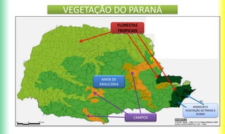 VEGETAÇÃO DO PARANÁ
FLORESTAS
TROPICAIS
CAMPOS
MATA DE
ARAUCÁRIA
MANGUES E
VEGETAÇÃO DE PRAIAS E
DUNAS
 